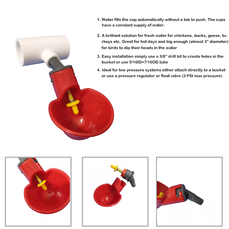 Automatic Chicken Waterer Plasson Chicken Water Drinker Bowl For